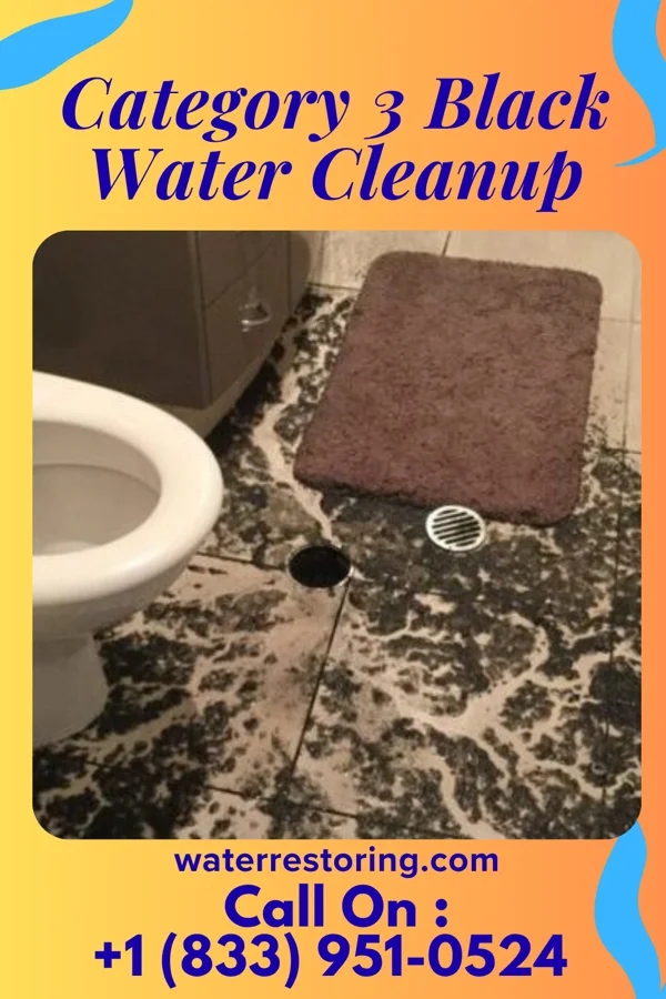 Category 3 Black Water Cleanup in Mount Ivy, NY