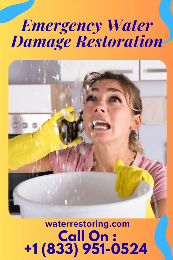 Emergency Water Damage Restoration in Mount Ivy, NY