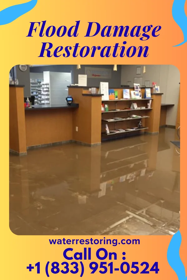 Flood Damage Restoration in Mount Ivy, NY