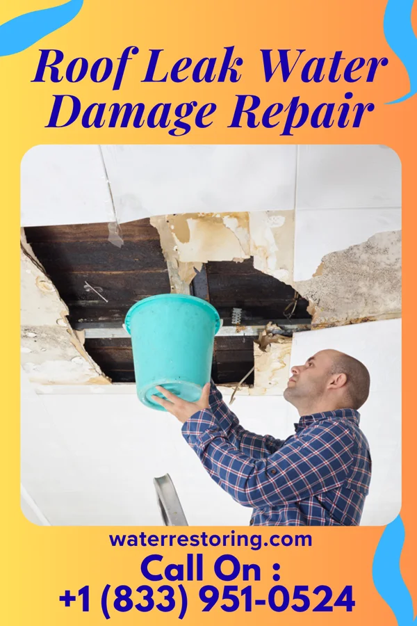 Roof Leak Water Damage Repair in Mount Ivy, NY