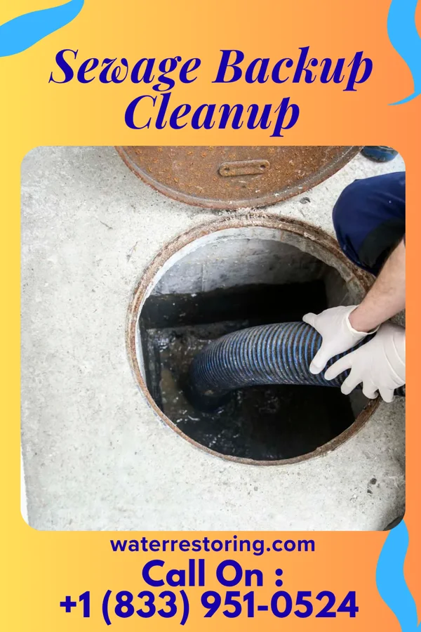 Sewage Backup Cleanup in Mount Ivy, NY